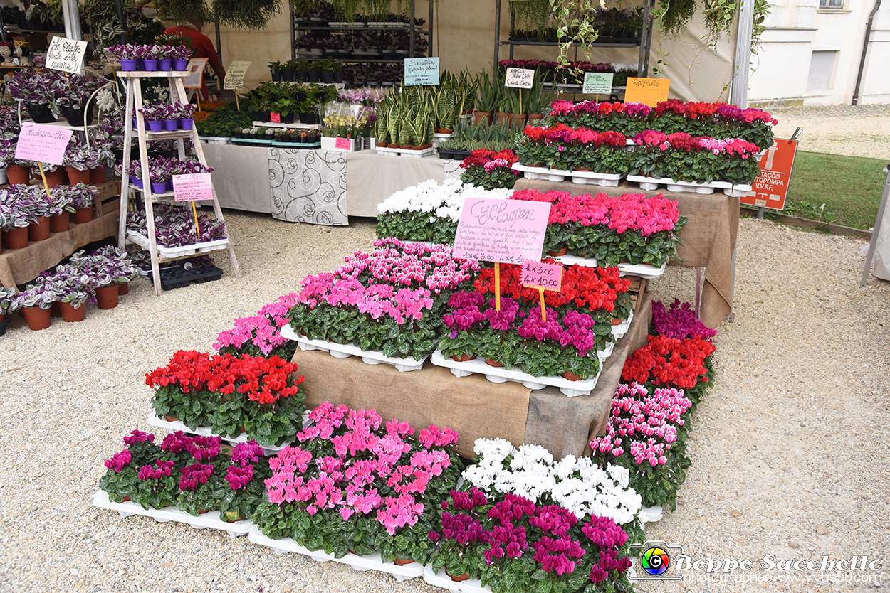 VBS_3482 - Floreal 2023 - Vivere con le piante.jpg